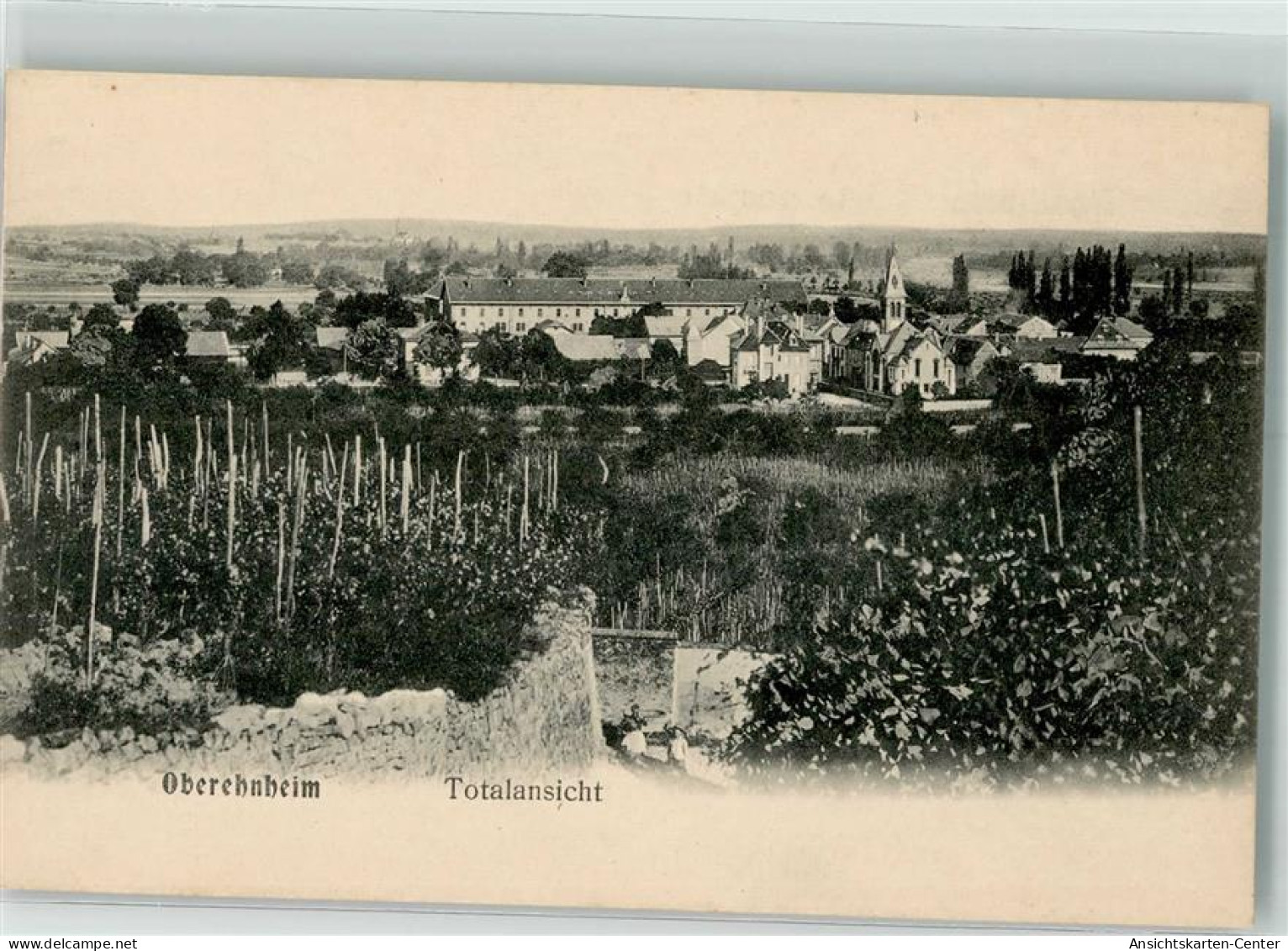 39635148 - Obernai Oberehnheim