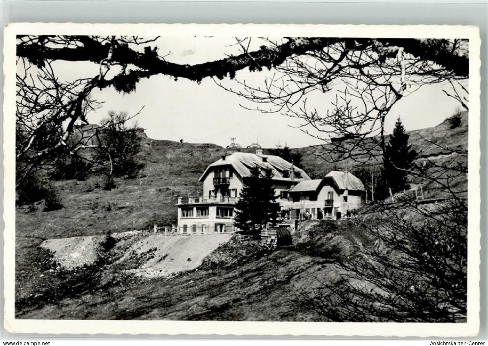 39635378 - Munster Muenster