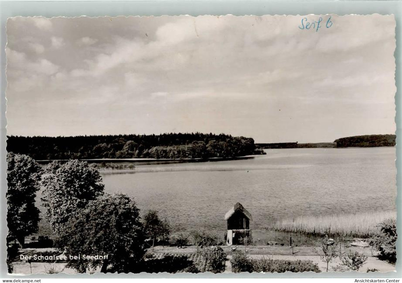39656419 - Seedorf , Kr Hzgt Lauenb