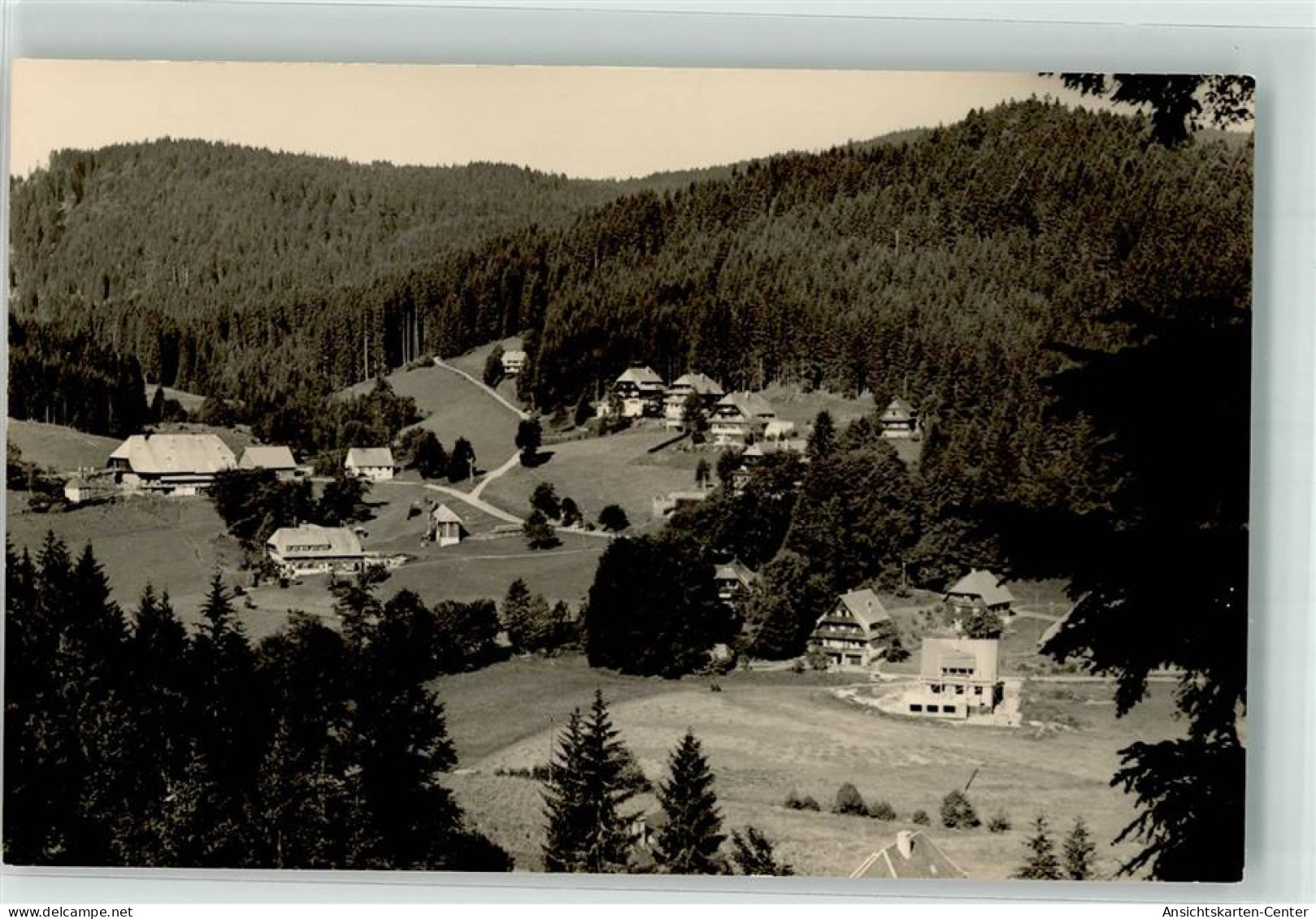 39657828 - Hinterzarten