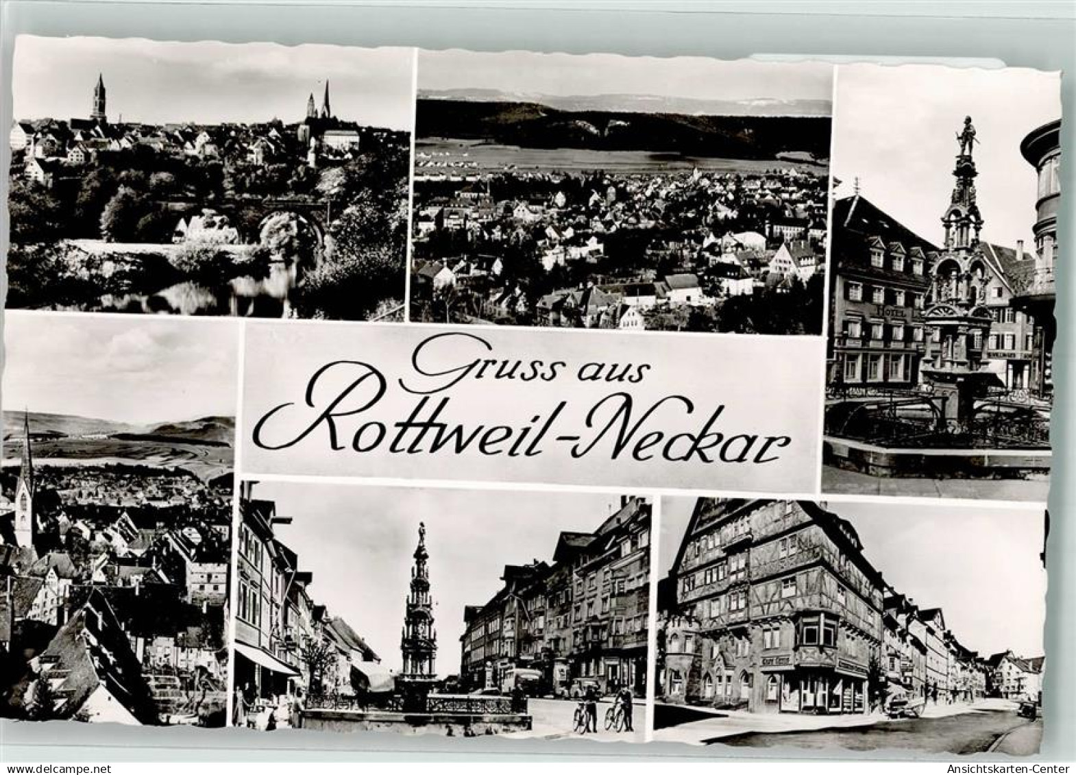 39658544 - Rottweil