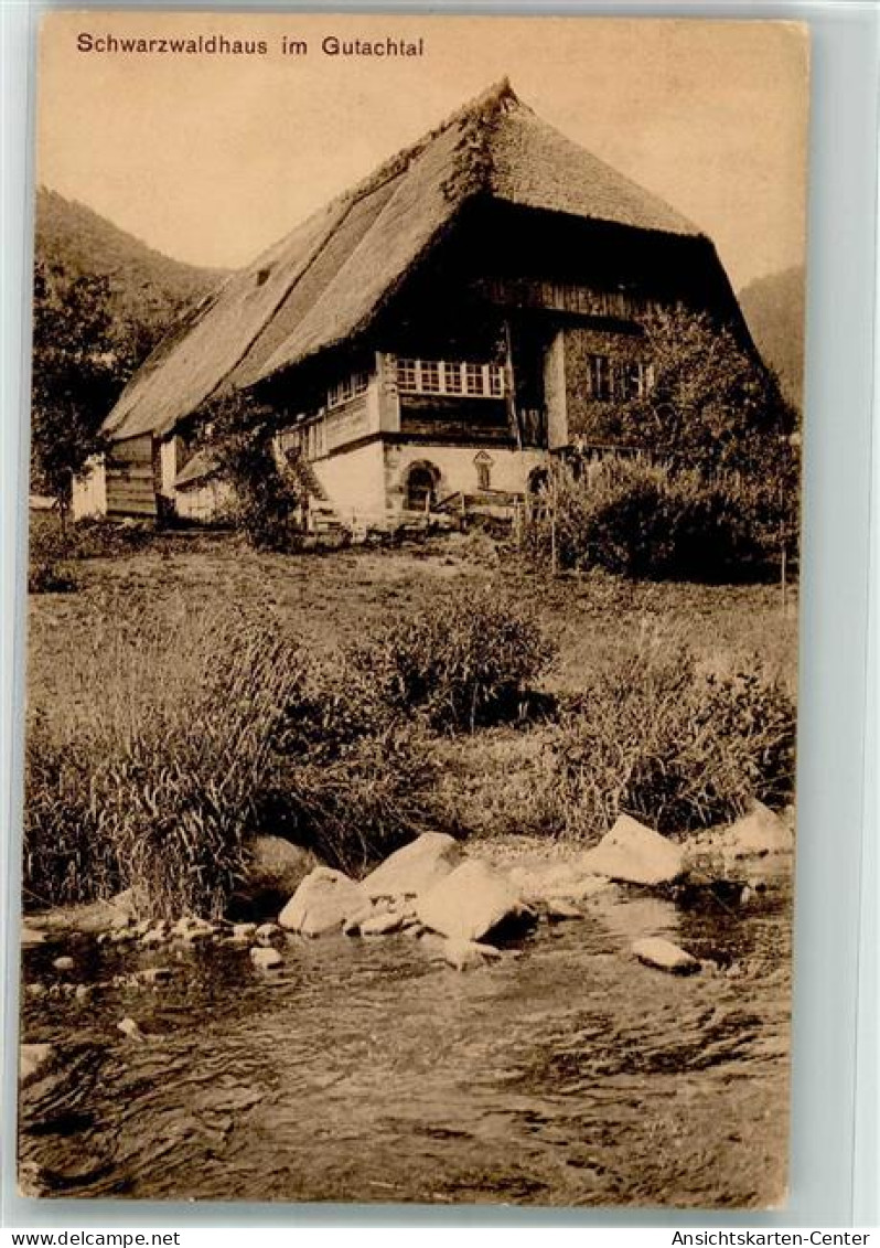 39658649 - Gutach Schwarzwaldbahn