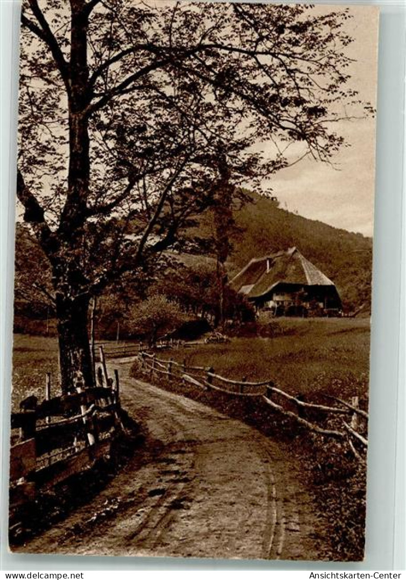 39658657 - Gutach Schwarzwaldbahn