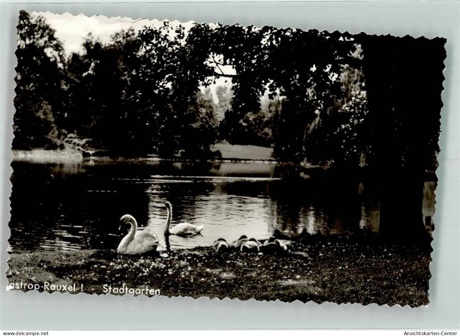 39666167 - Castrop-Rauxel