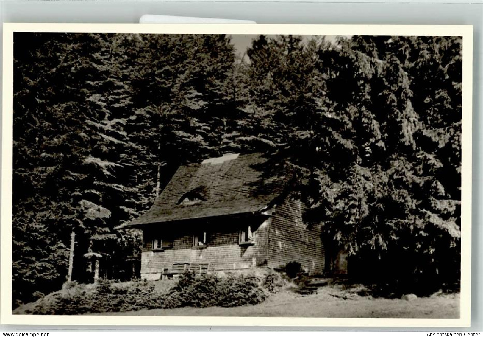 39667580 - Muenstertal , Schwarzwald