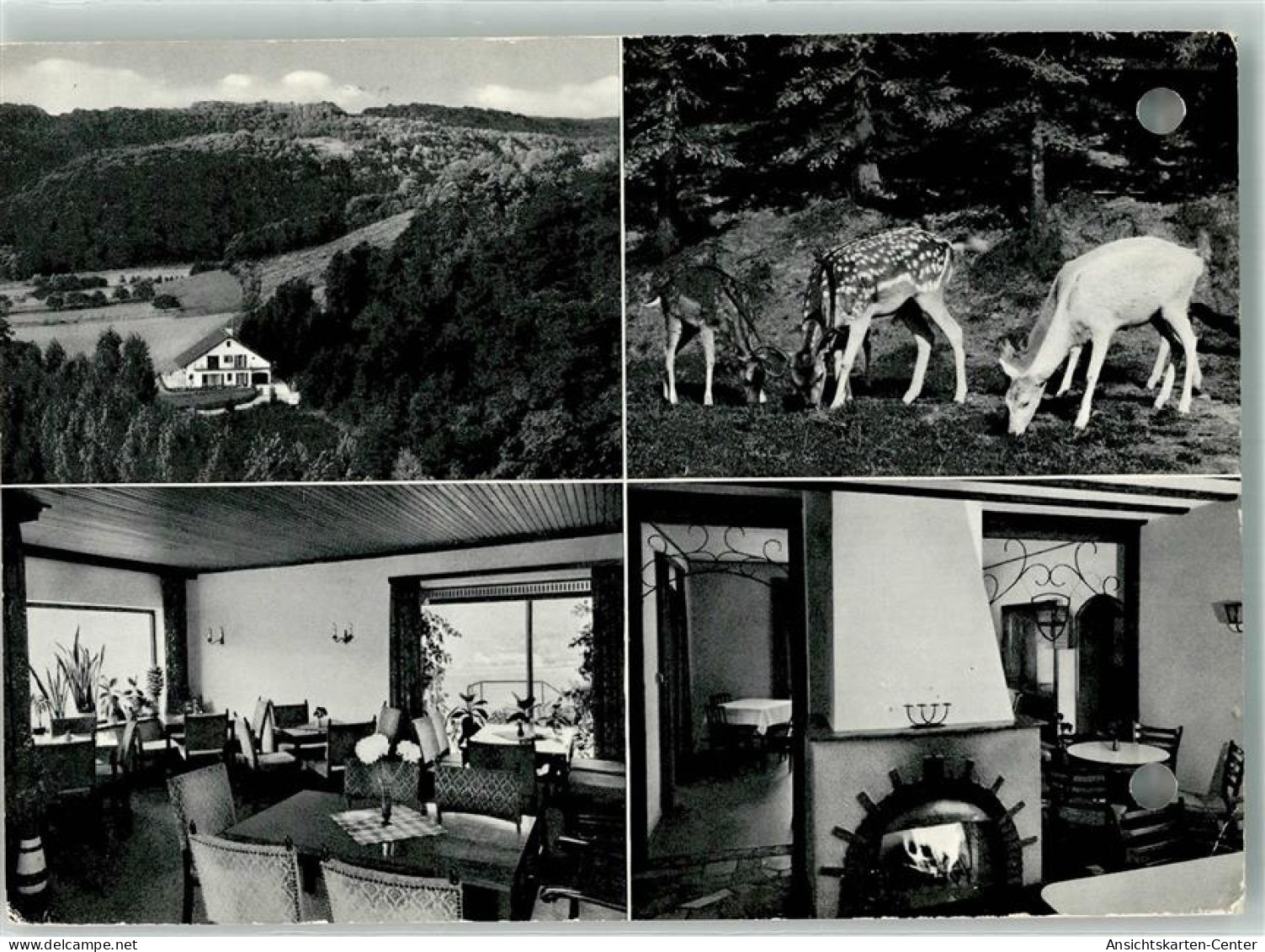 39668377 - Bad Hoenningen