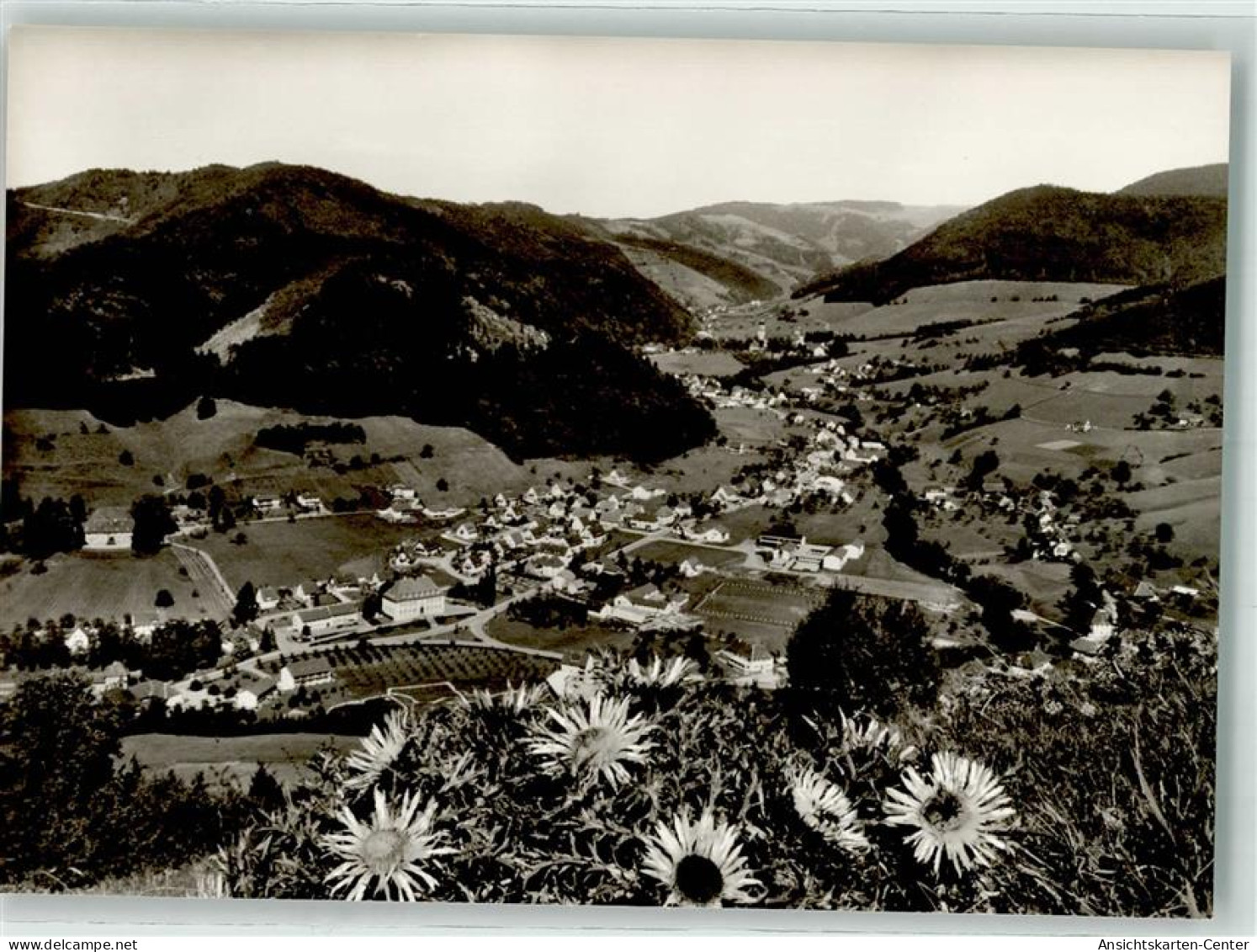 39671946 - Muenstertal , Schwarzwald