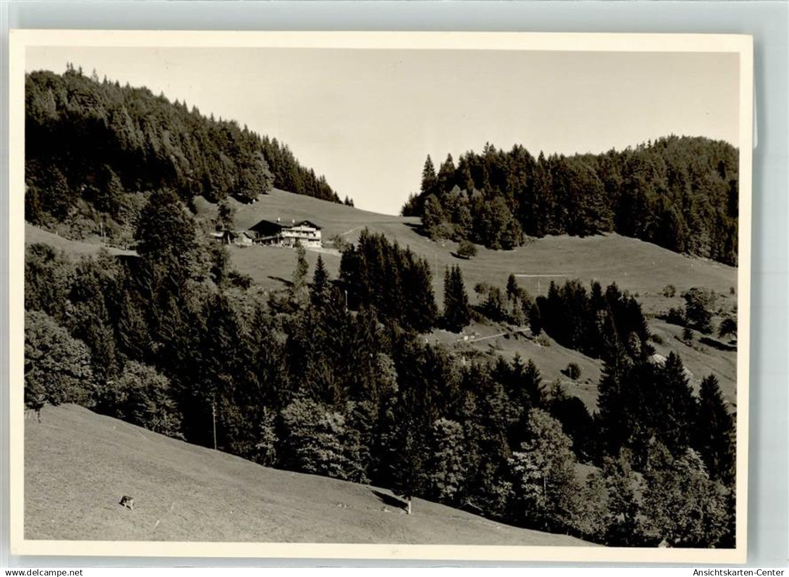 39674815 - Langenwang , Allgaeu