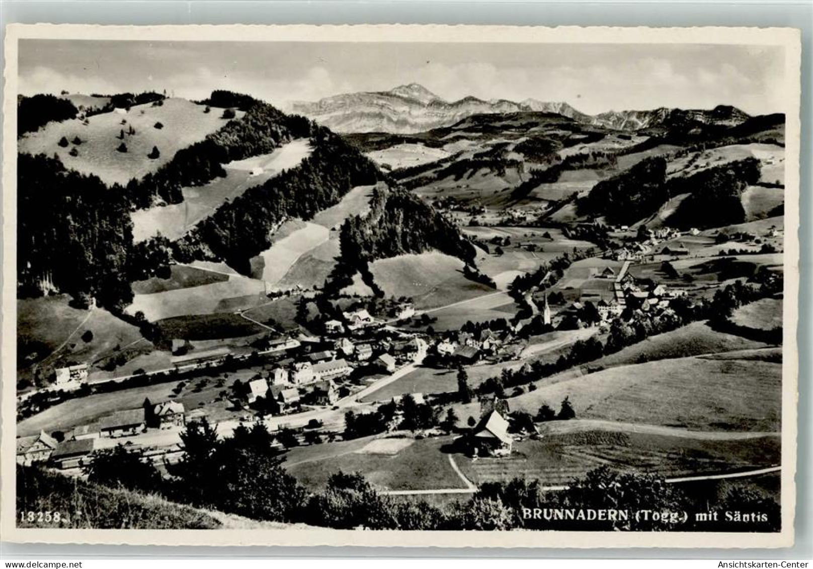 39692116 - Brunnadern