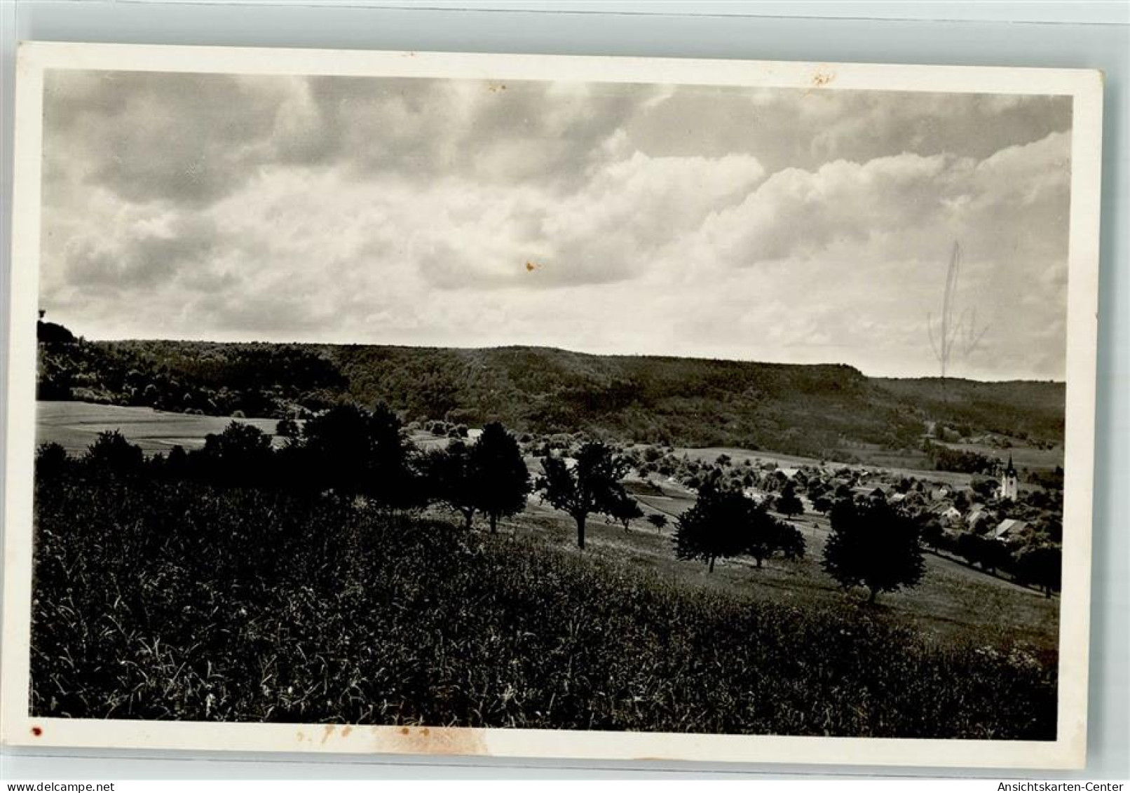 39701330 - Buch  Wiesendangen