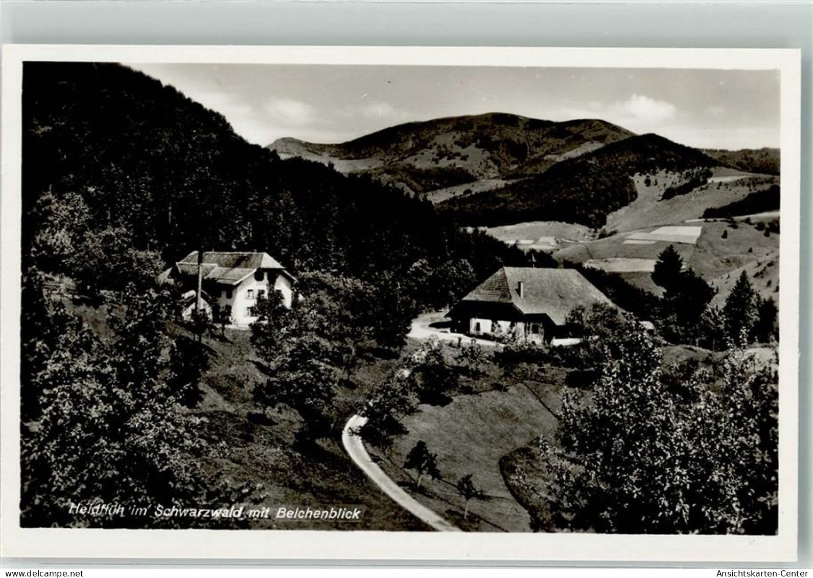 39711227 - Muenstertal , Schwarzwald