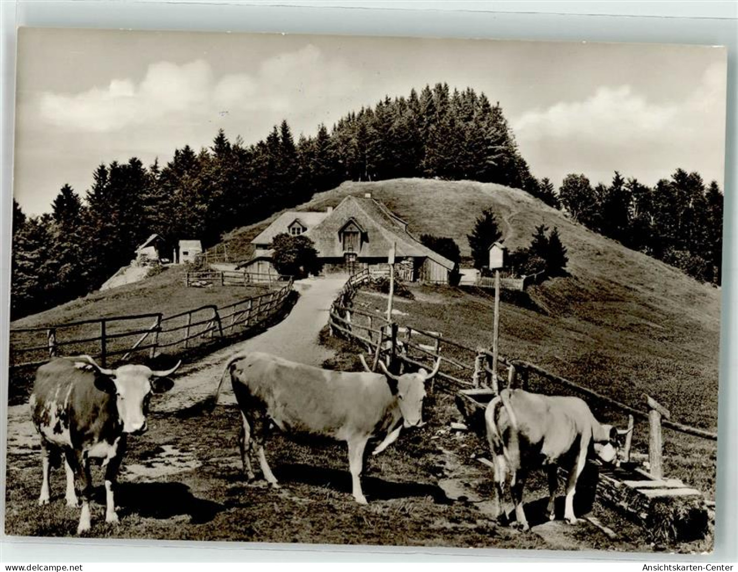 39711373 - Muenstertal , Schwarzwald