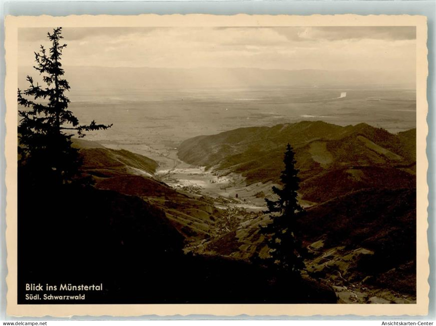 39711490 - Muenstertal , Schwarzwald