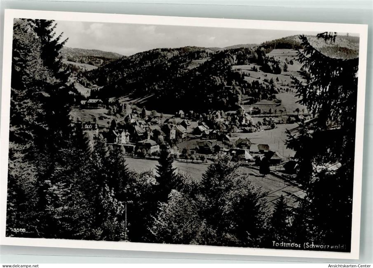 39712900 - Todtmoos