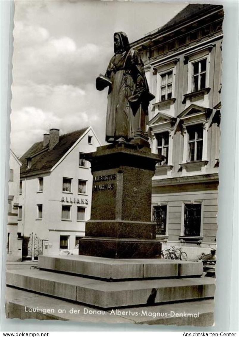 39713219 - Lauingen Donau