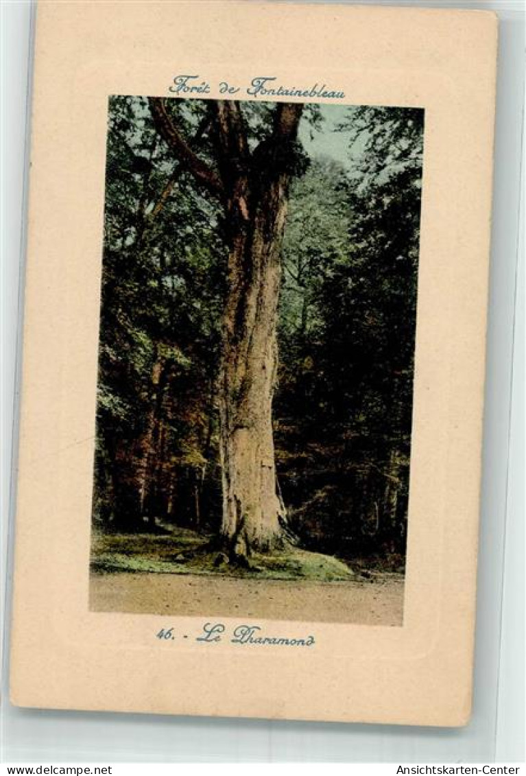 39745547 - Fontainebleau