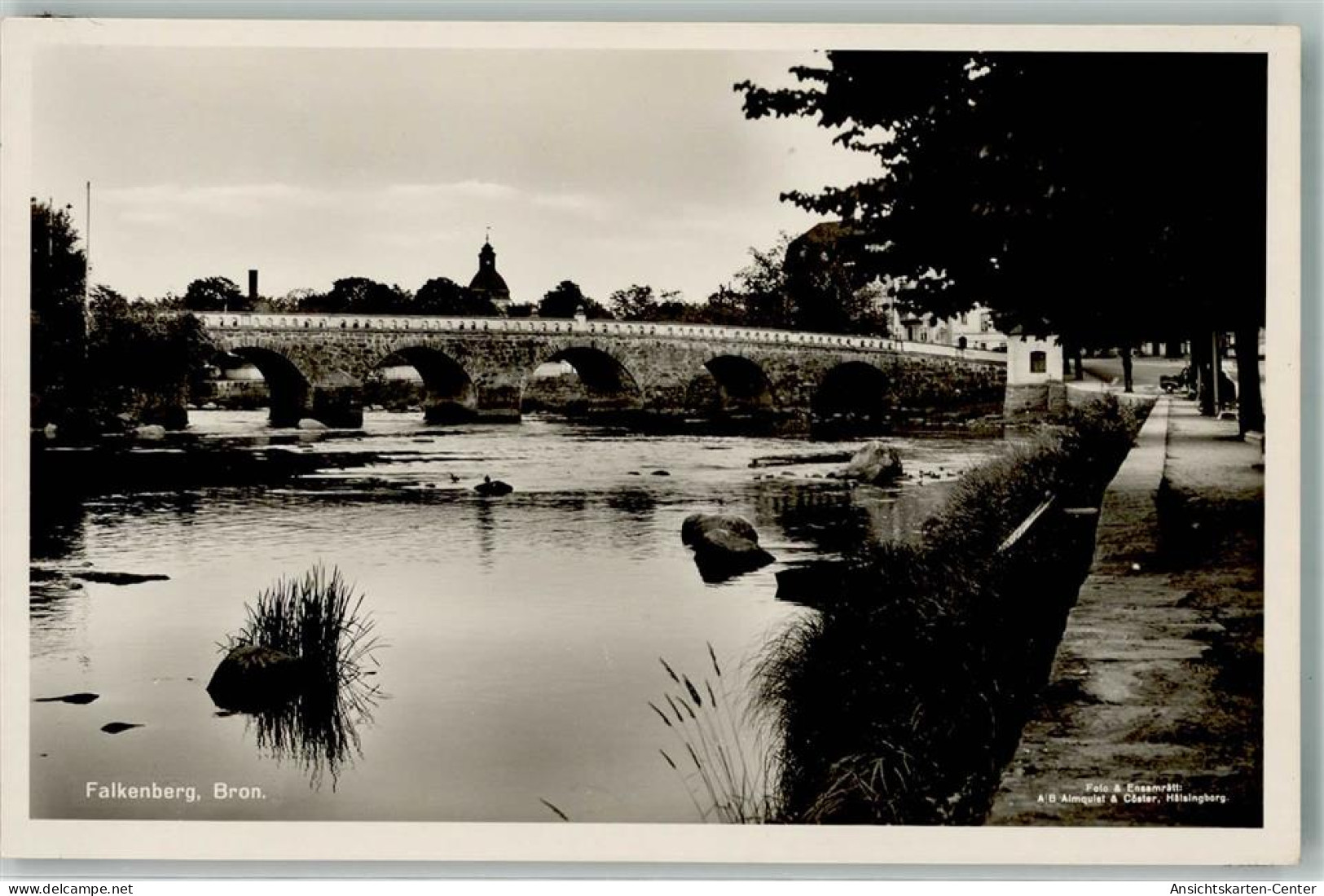 39753370 - Falkenberg