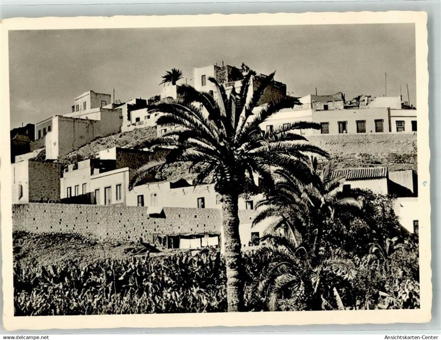 39753875 - Las Palmas de Gran Canaria