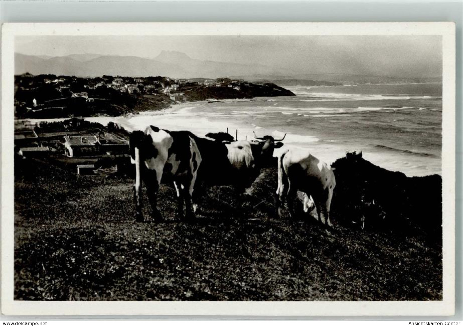 39760360 - Biarritz
