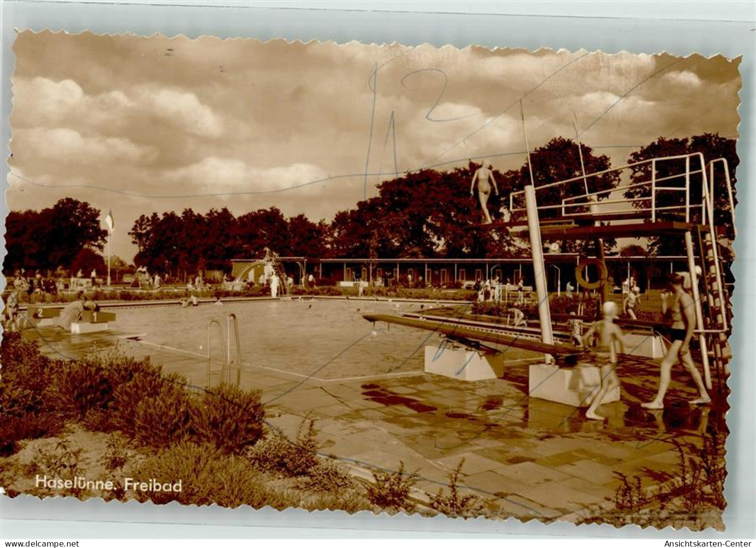 39765639 - Haseluenne