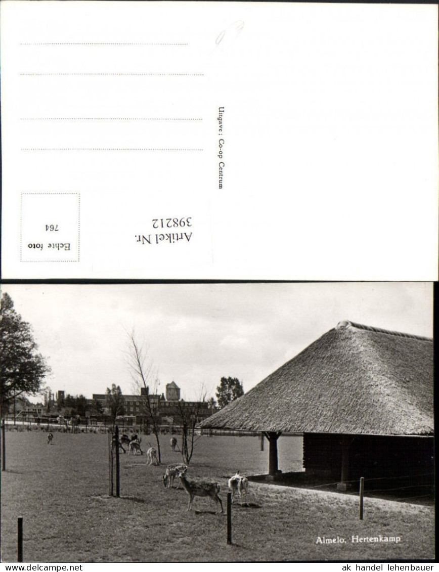 398212,Netherlands Almelo Hertenkamp Rehe Wild