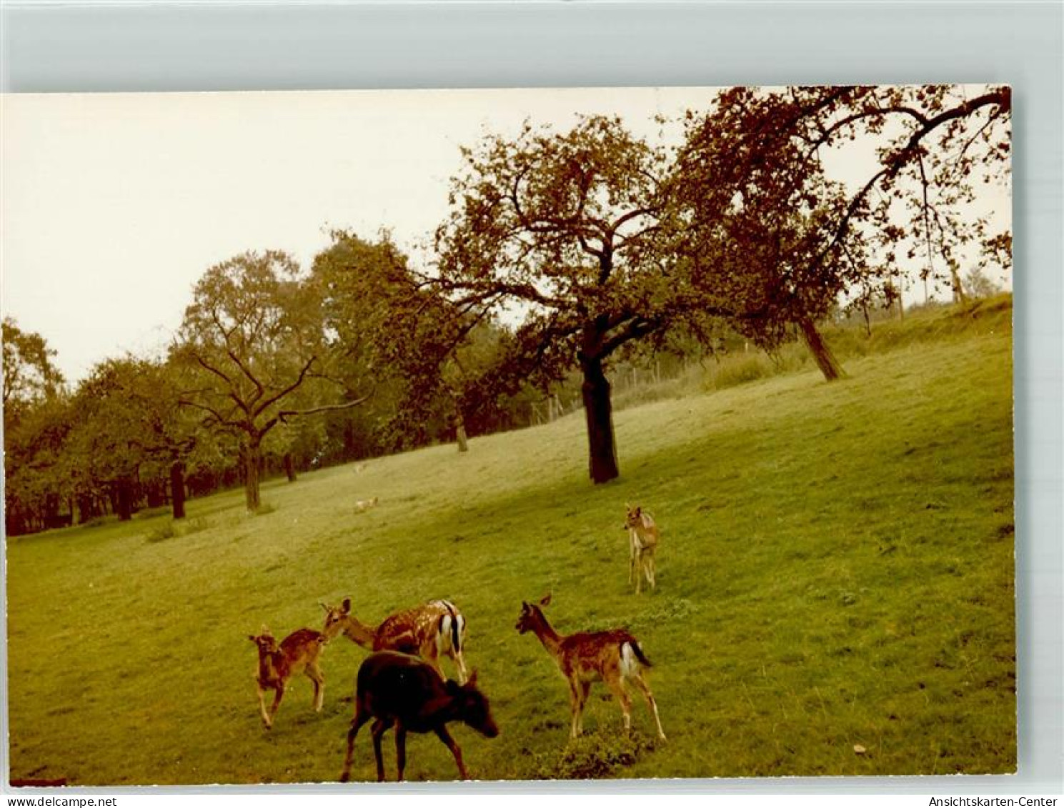 39832719 - Hennef Sieg