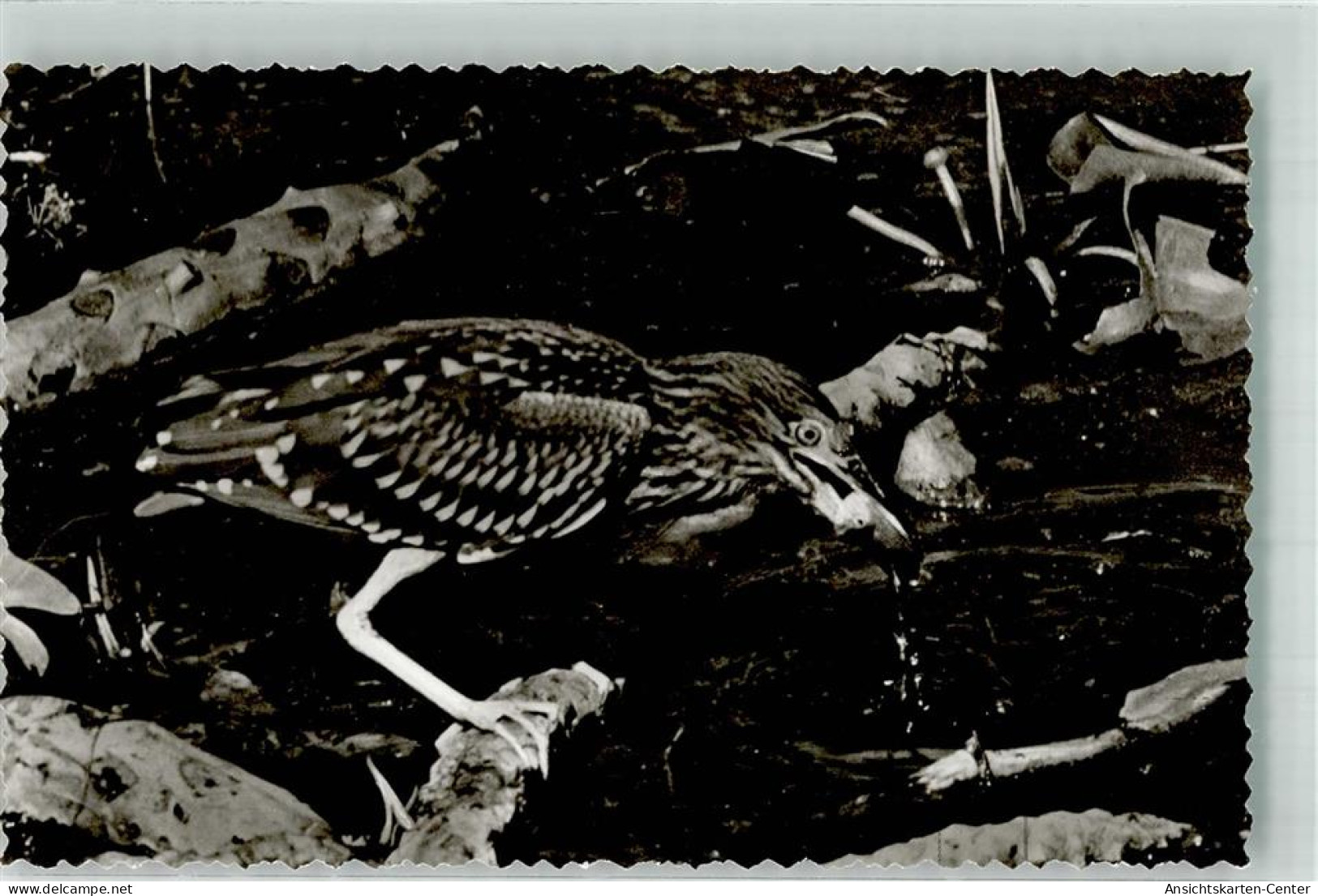 39836377 - Bad Buchau