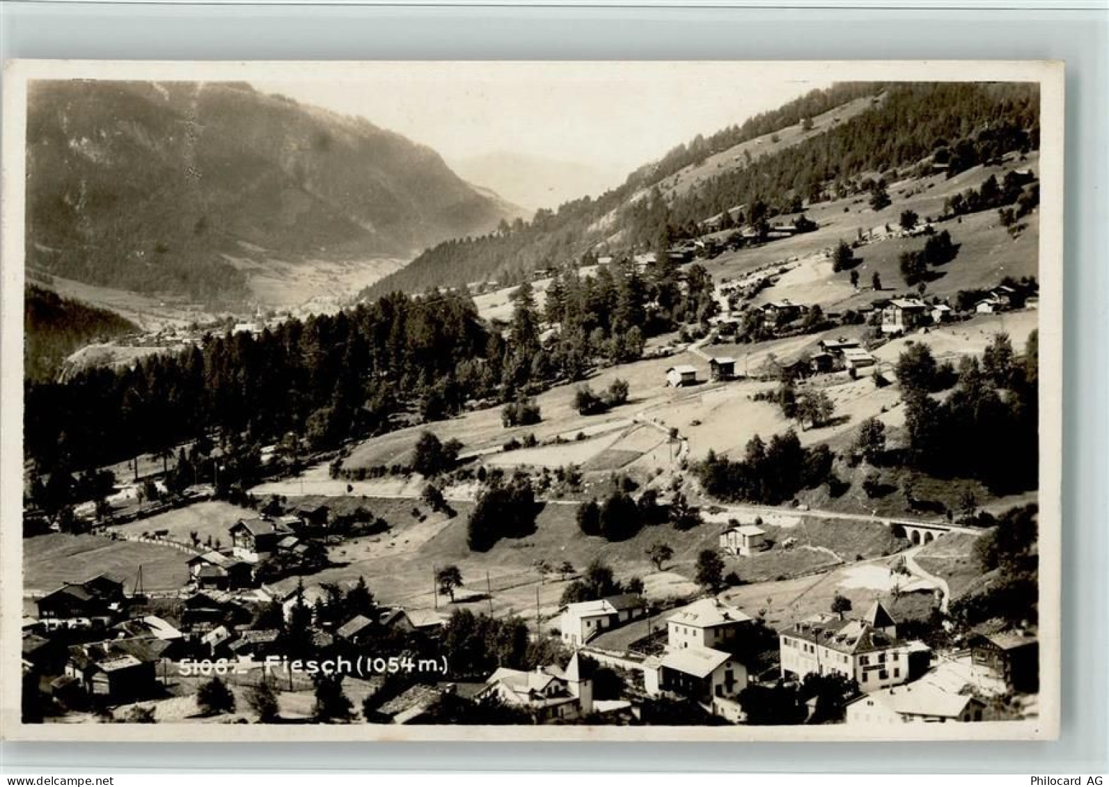 3984 Fiesch - 11064282