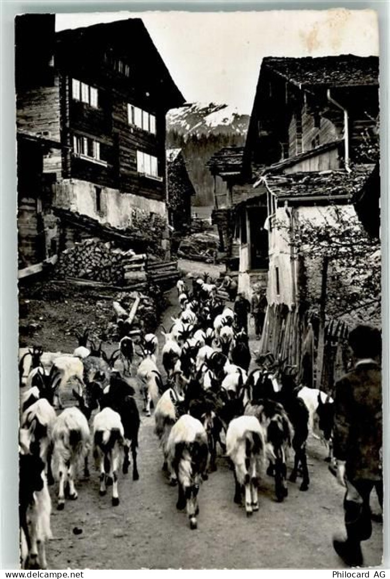 3984 Fiesch - Auszug der Ziegen - 39497320