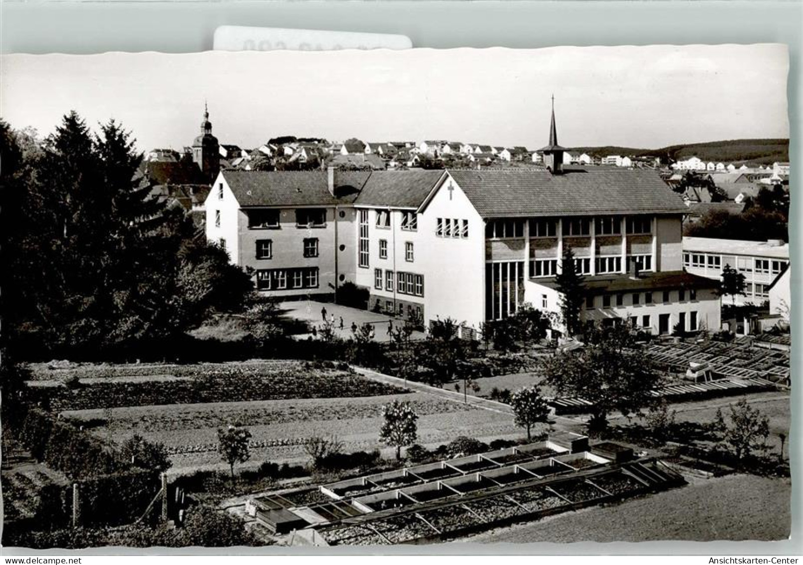 39840629 - Buchen Odenwald