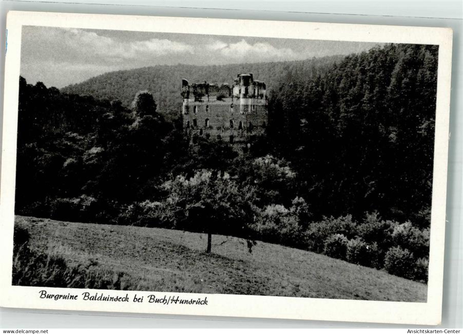 39841946 - Buch , Hunsrueck