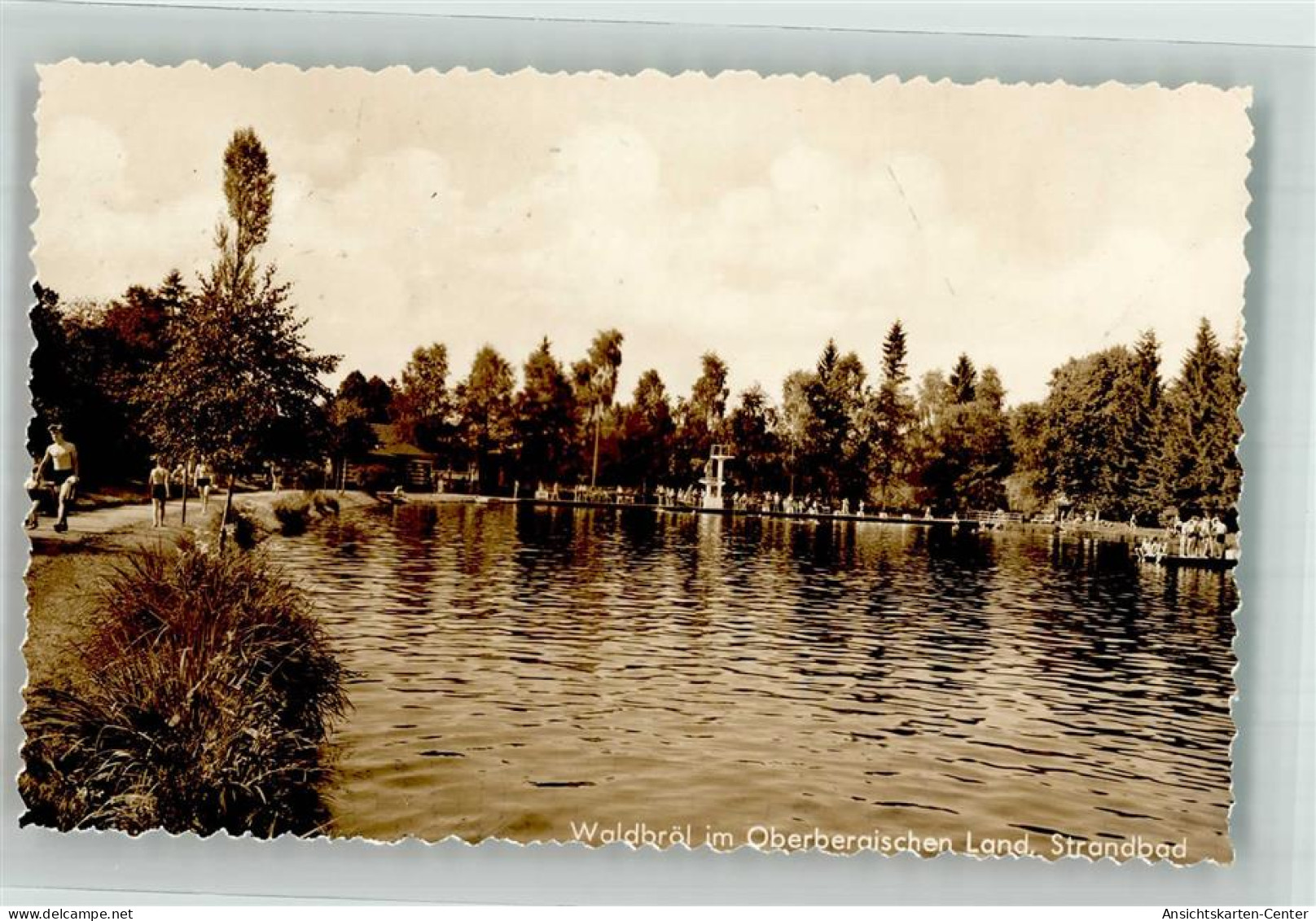 39843131 - Waldbroel