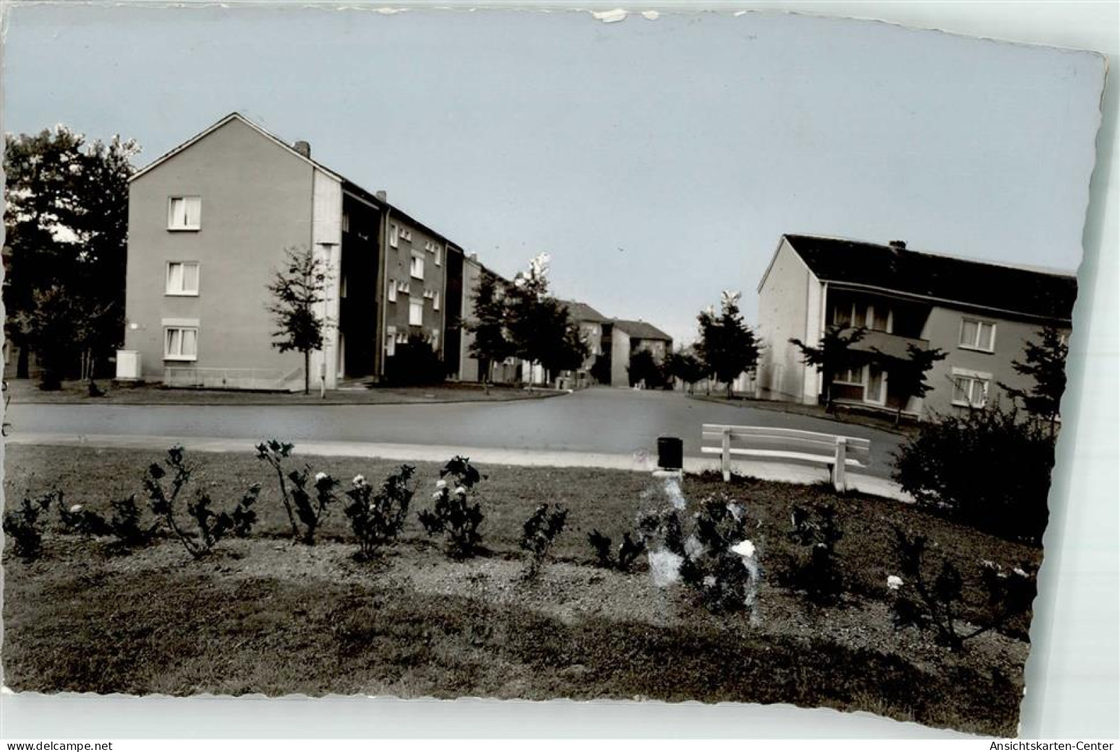 39843177 - Waldbroel