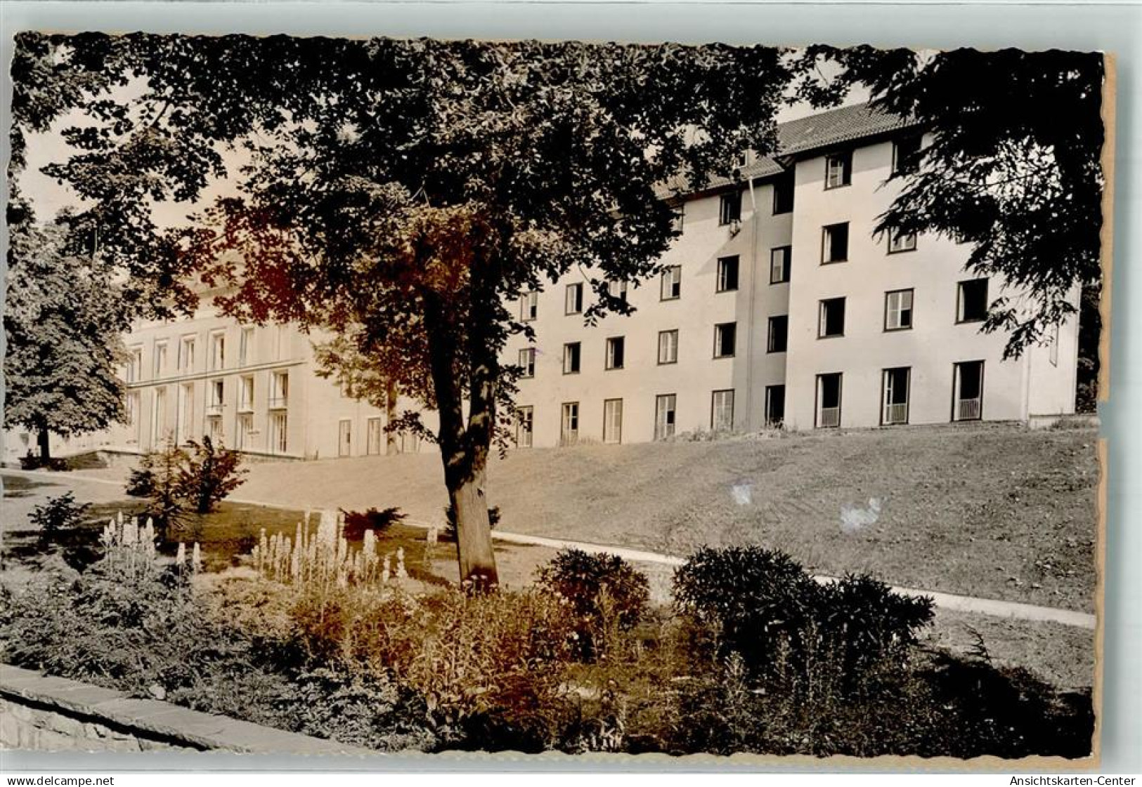 39843182 - Waldbroel