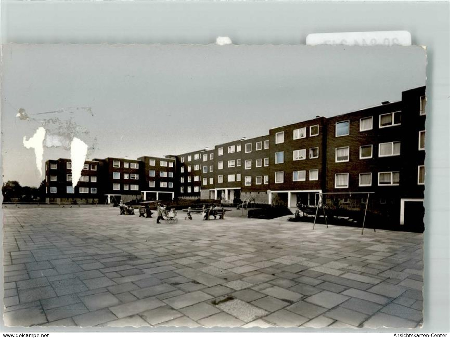 39844347 - Waldbroel