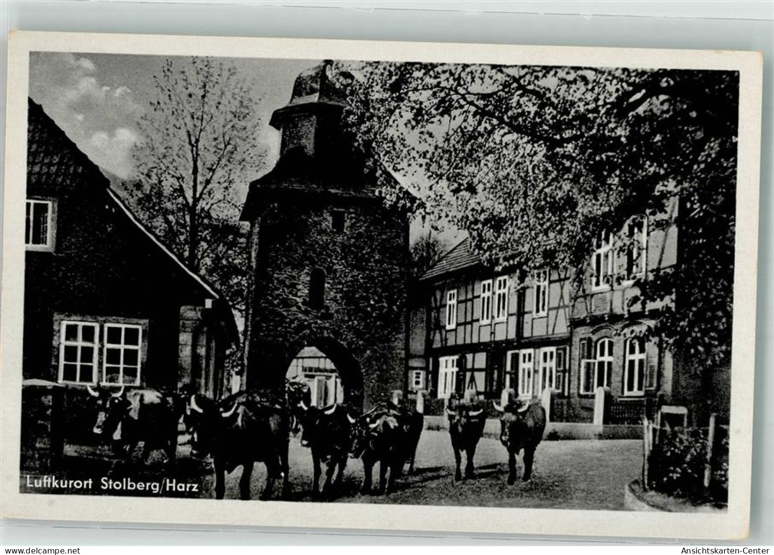 39849188 - Stolberg Harz