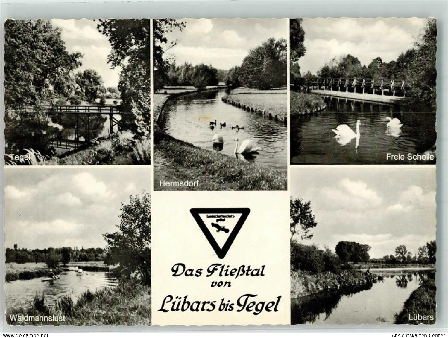 39850788 - Reinickendorf