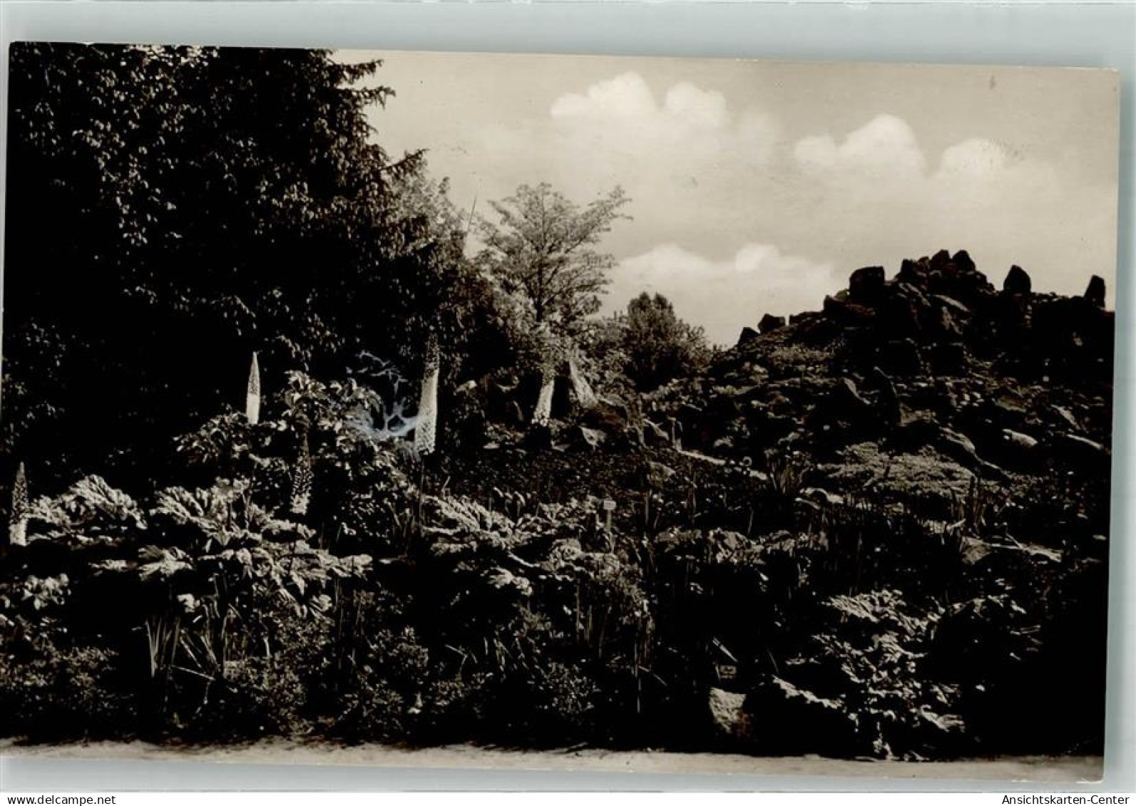 39851265 - Dahlem