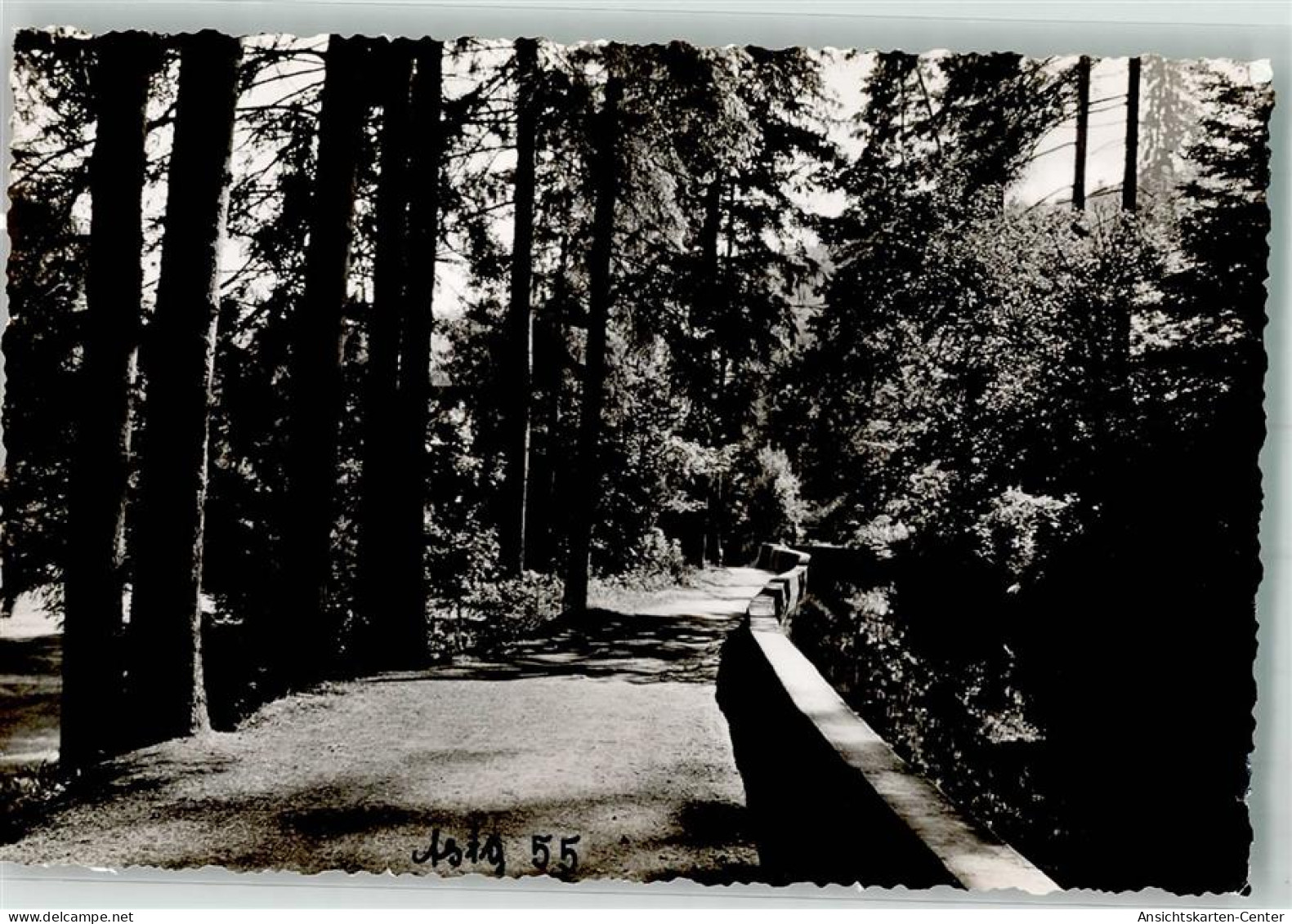 39856729 - Altensteig , Wuertt