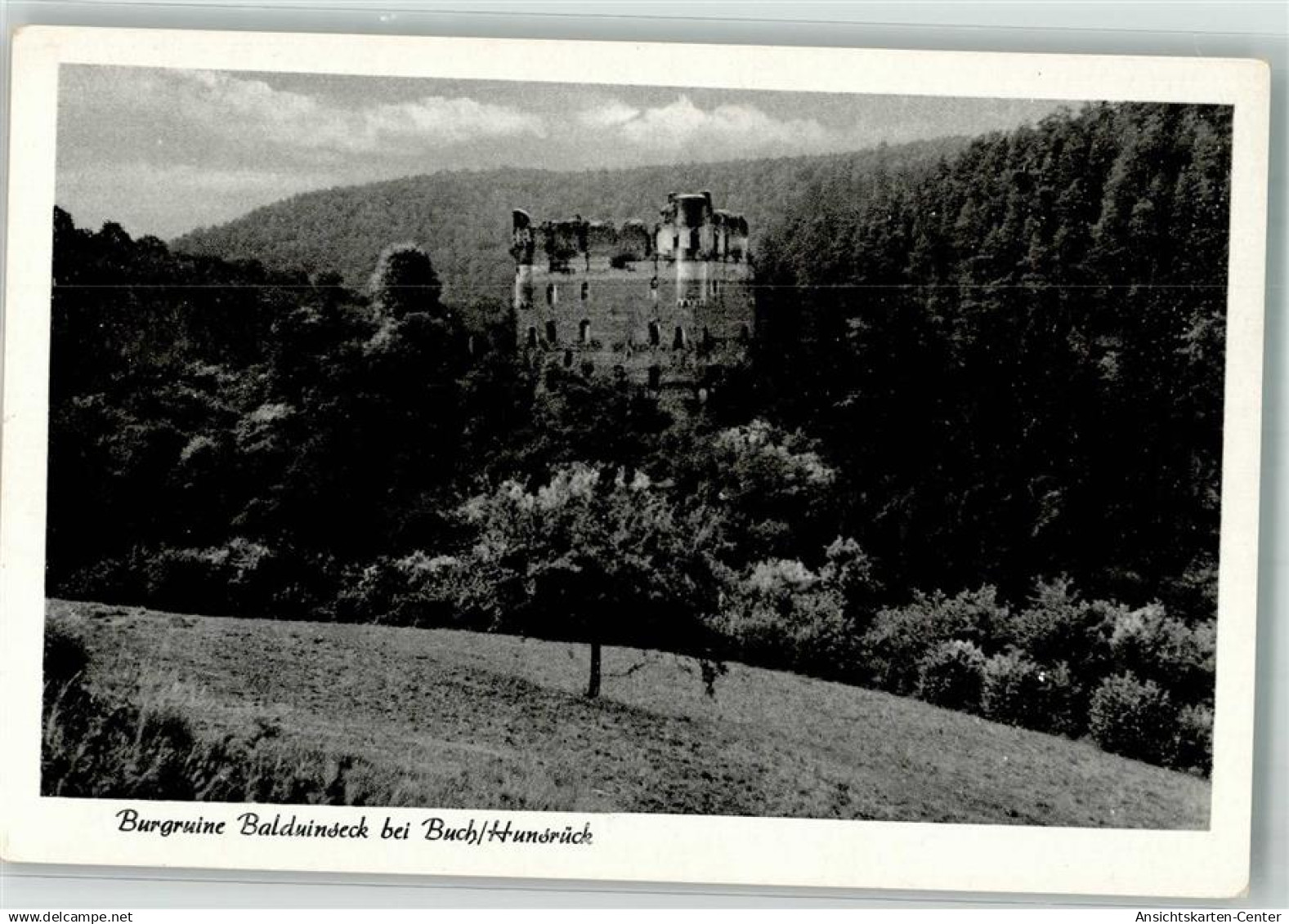 39860885 - Buch , Hunsrueck