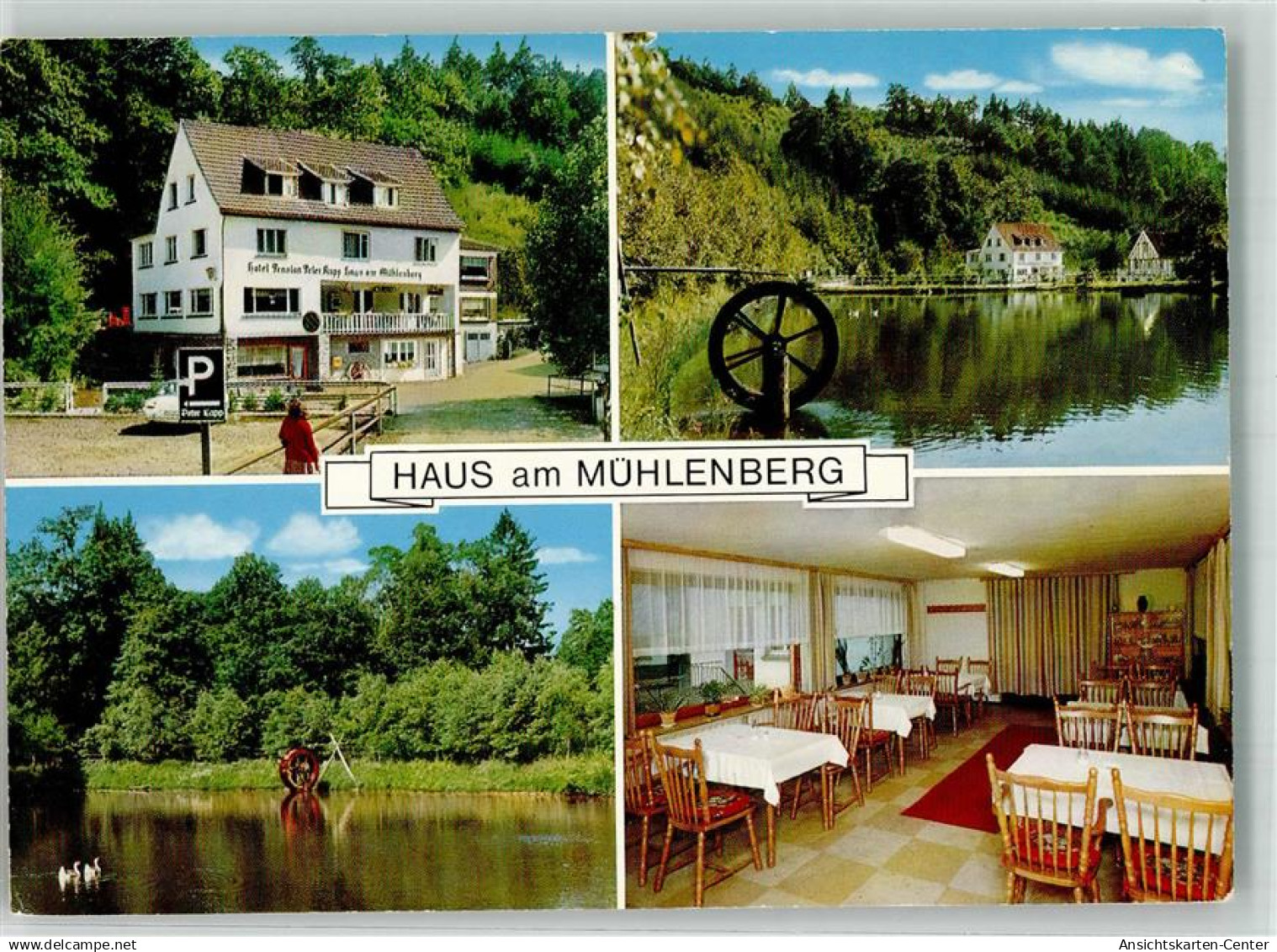 39862334 - Waldbroel