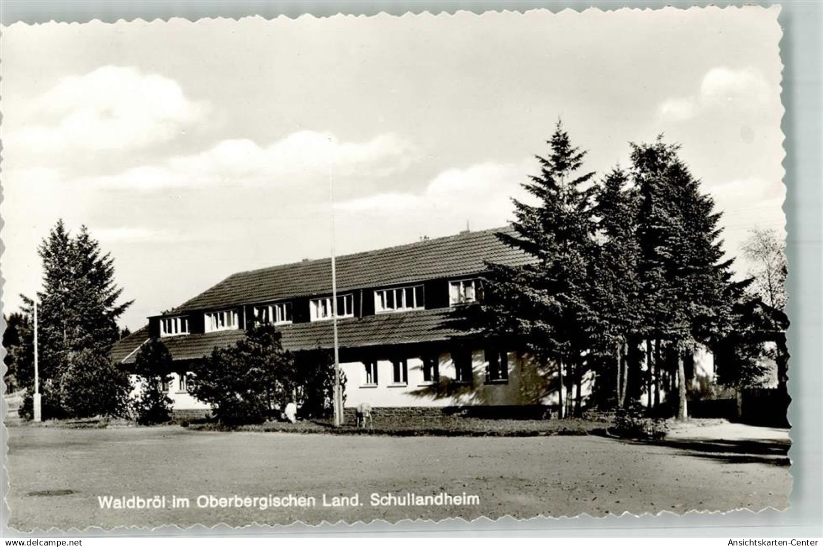 39862575 - Waldbroel