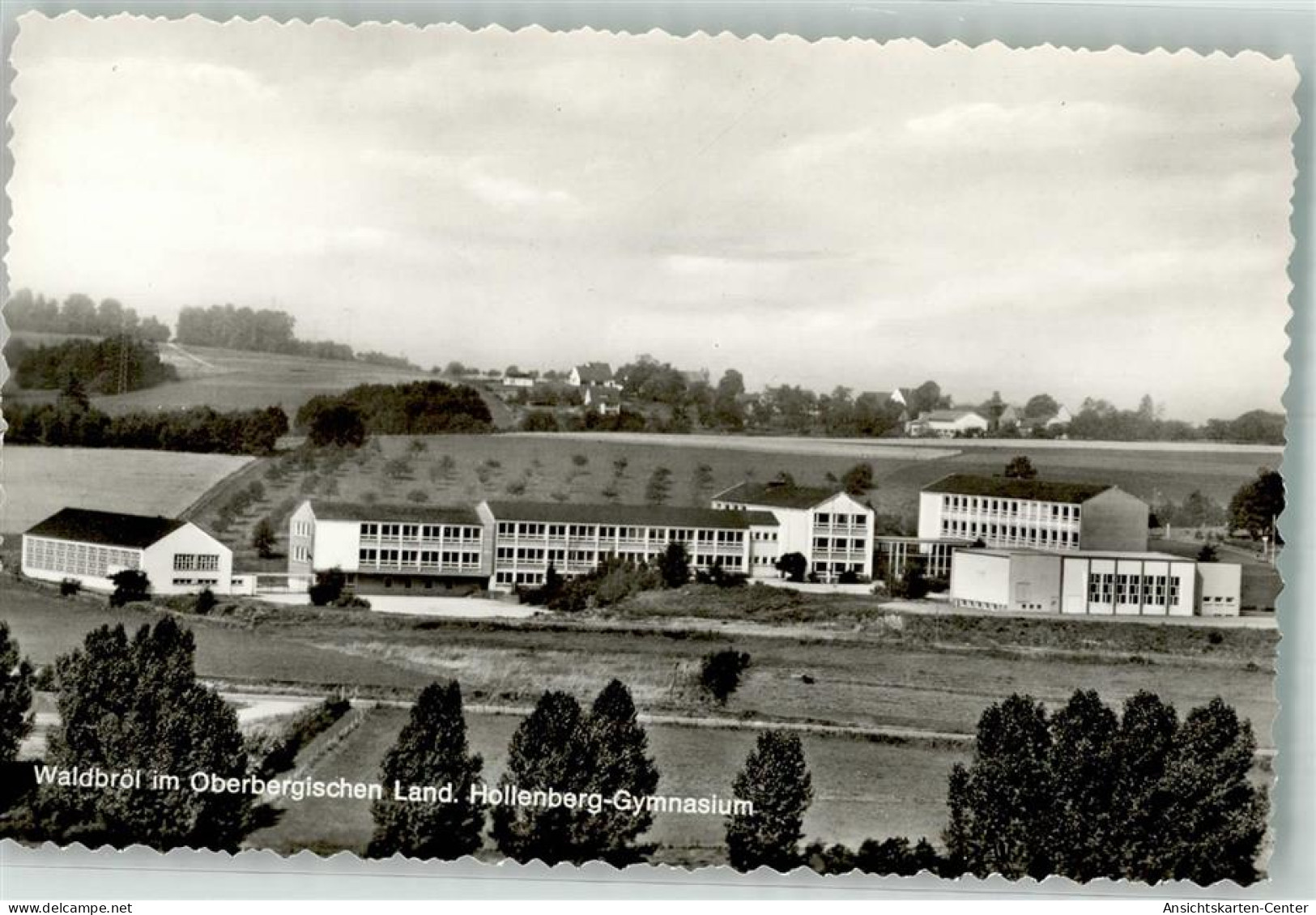 39863996 - Waldbroel
