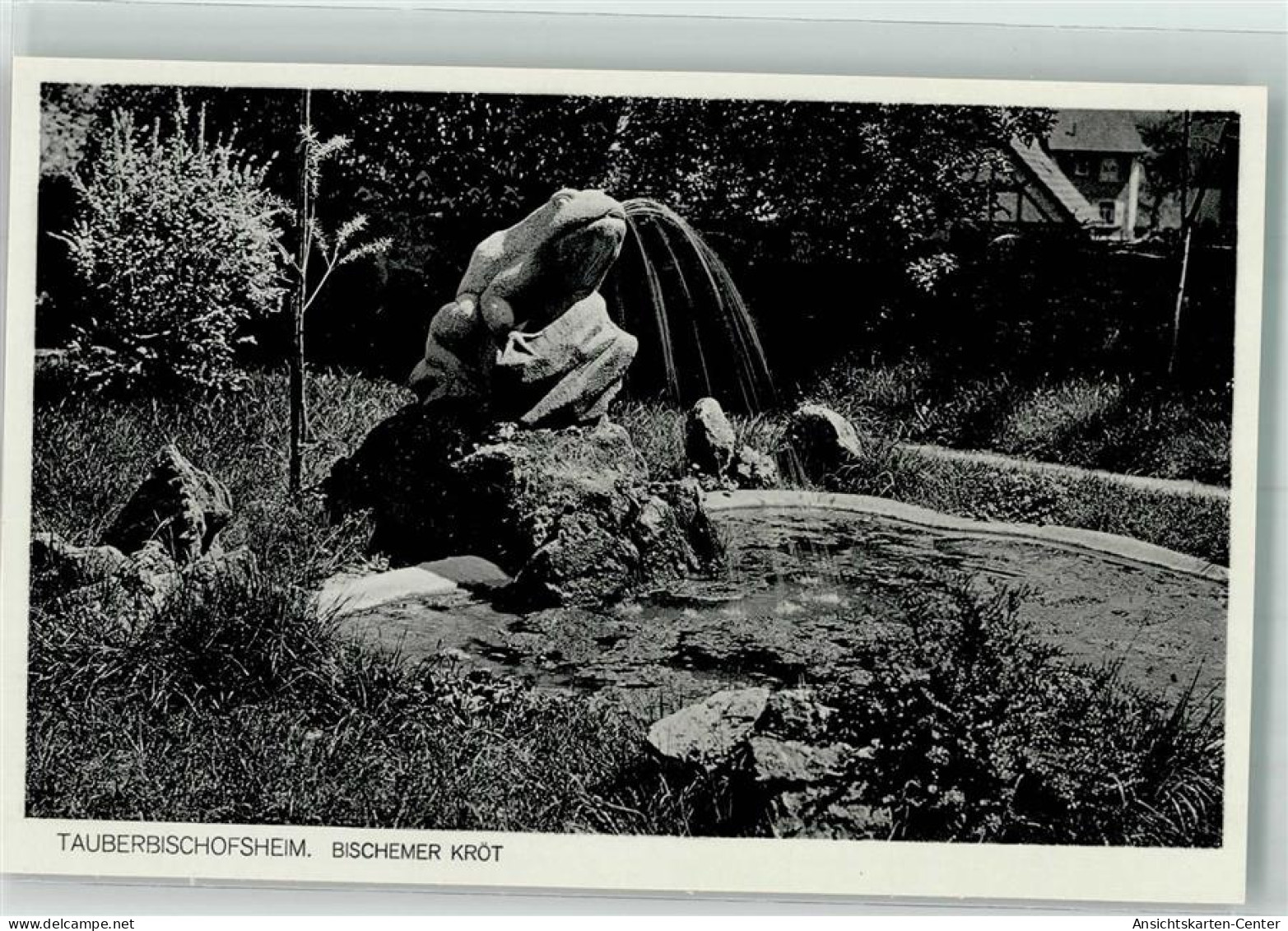 39872619 - Tauberbischofsheim