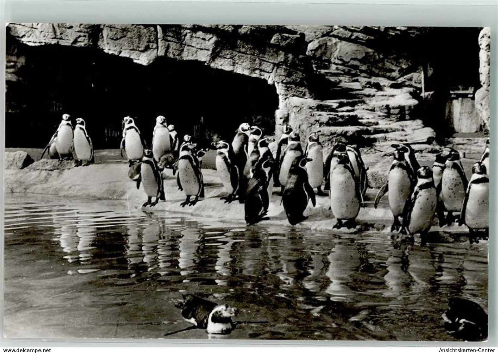 39878944 - Stellingen