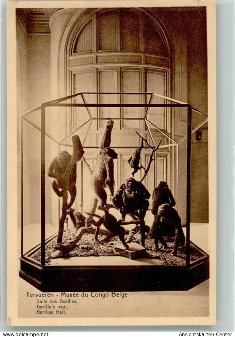 39903311 - Tervuren Tervueren