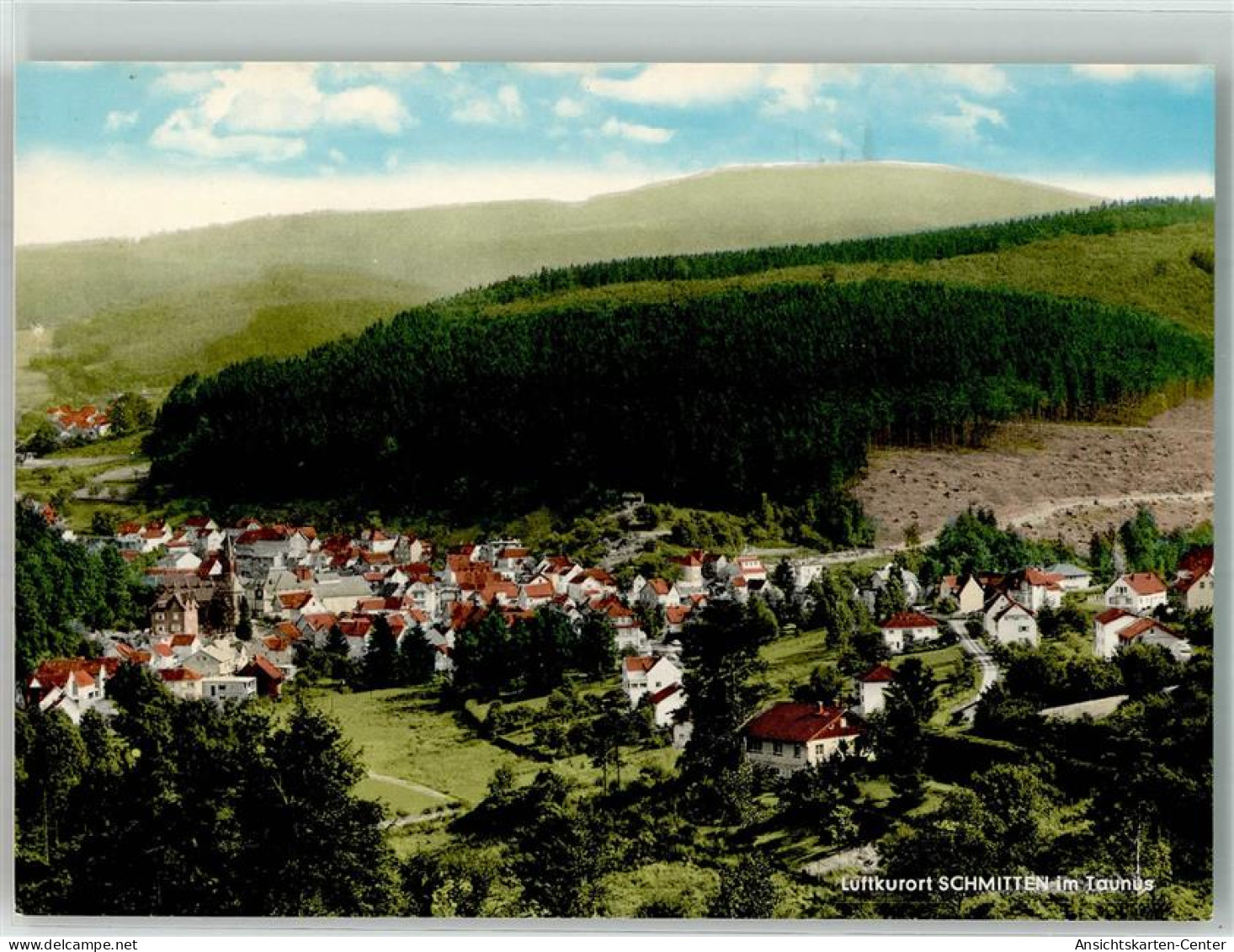 39919727 - Schmitten , Taunus