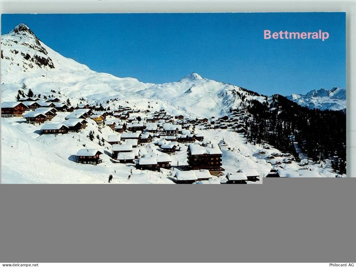 3992 Bettmeralp - 10390221