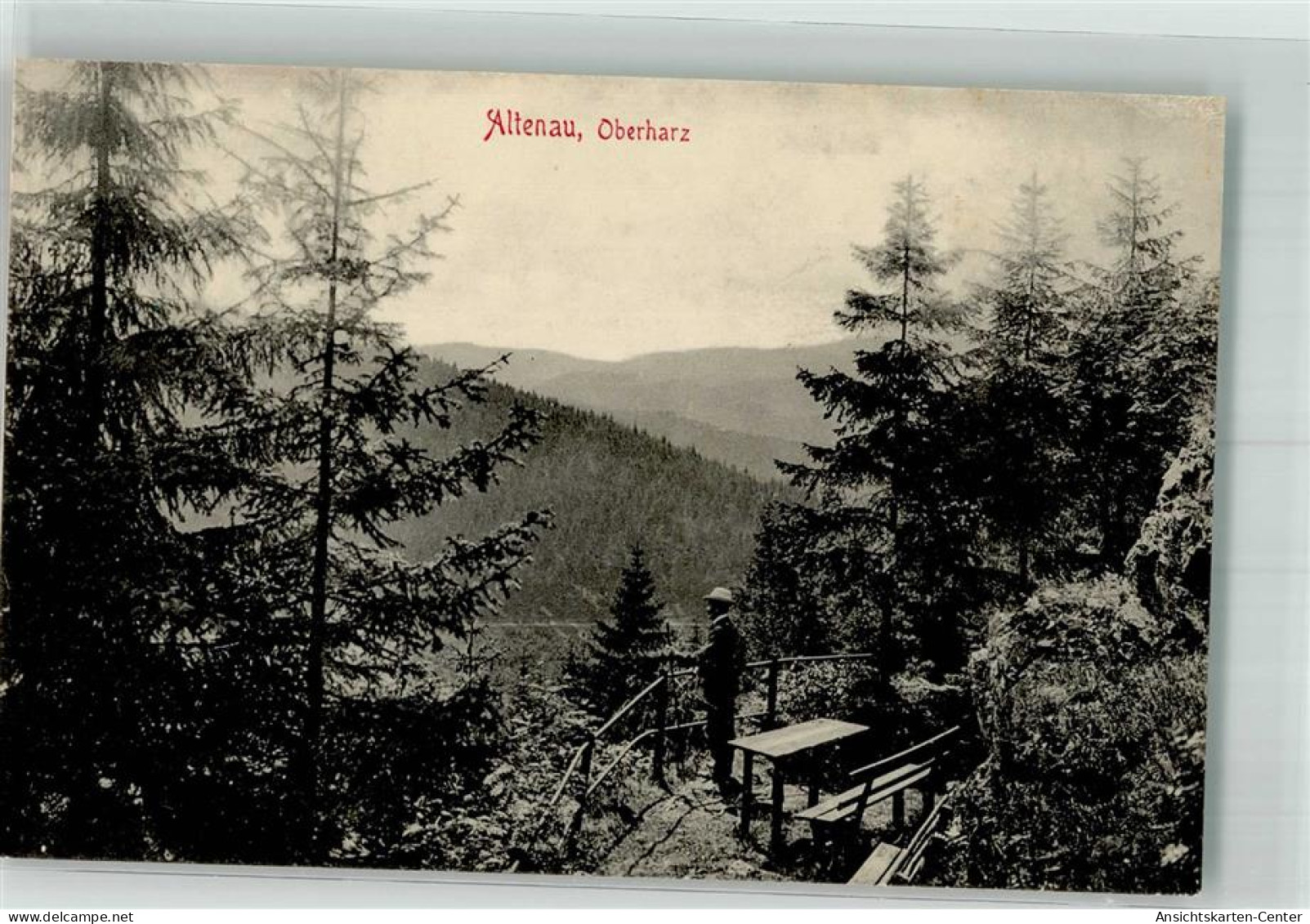 39923546 - Altenau , Harz