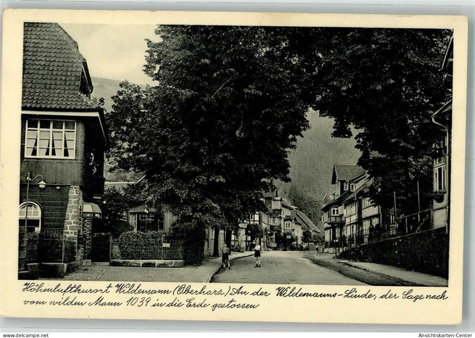 39929016 - Wildemann